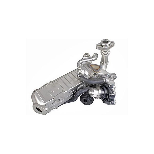EGR-modul 12V