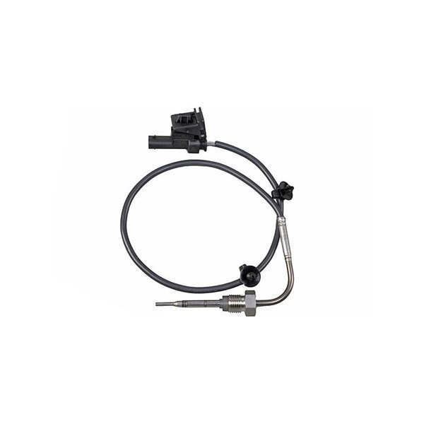 Sensor, avgastemperatur