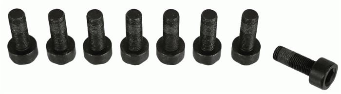 Skruvsats, svänghjul Sachs 1874 000 066 SACHS Skruvsats, svänghjul Sachs 1874 000 066 SACHS