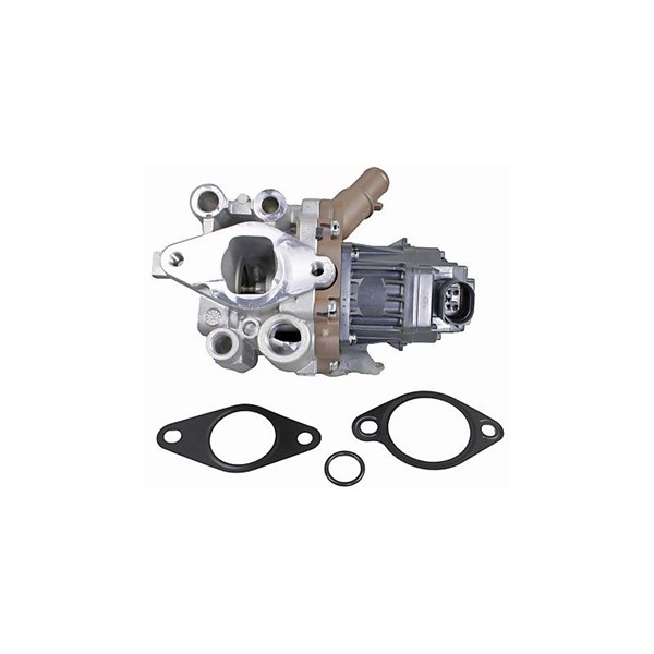 Egr-ventil 12V