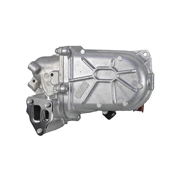 EGR-modul 12V