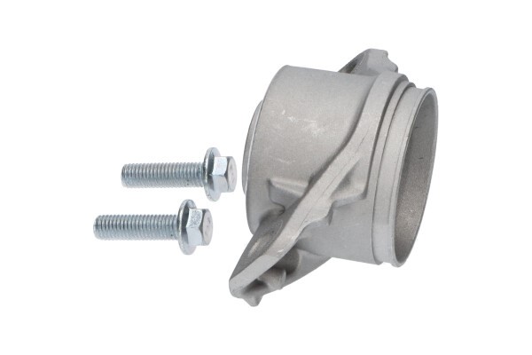 Fjäderbenslager, Bakaxel KAVO PARTS