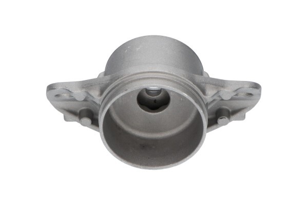 Fjäderbenslager, Bakaxel KAVO PARTS