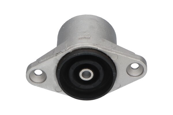 Fjäderbenslager, Bakaxel Kavo parts SSM-10063 KAVO PARTS
