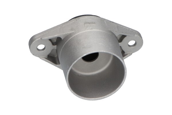 Fjäderbenslager, Bakaxel Kavo parts SSM-10063 KAVO PARTS