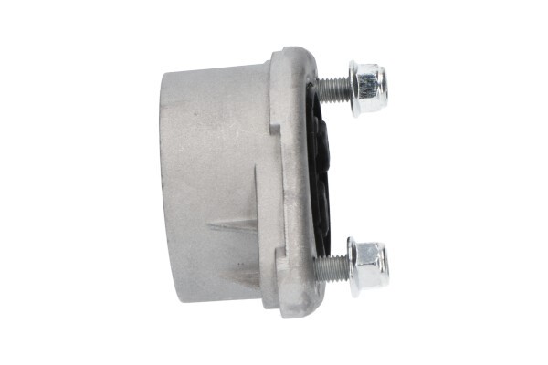 Fjäderbenslager, Bakaxel KAVO PARTS