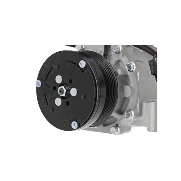 Kompressor, klimatanläggning 12V Valeo 813119 VALEO Kompressor, klimatanläggning 12V Valeo 813119 VALEO