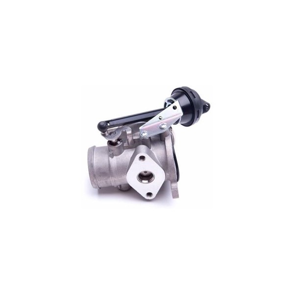 Egr-ventil Esen skv 14SKV206 ESEN SKV