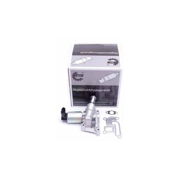 Egr-ventil Esen skv 14SKV207 ESEN SKV