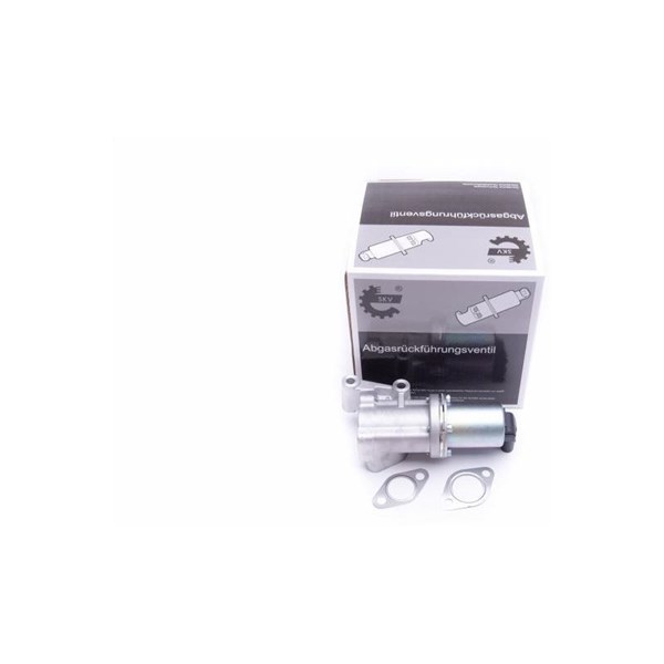 Egr-ventil Esen skv 14SKV211 ESEN SKV