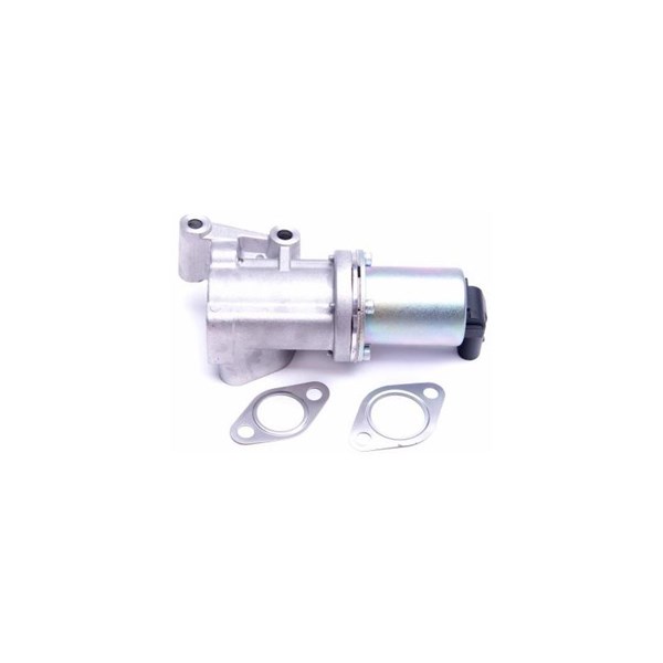 Egr-ventil Esen skv 14SKV211 ESEN SKV