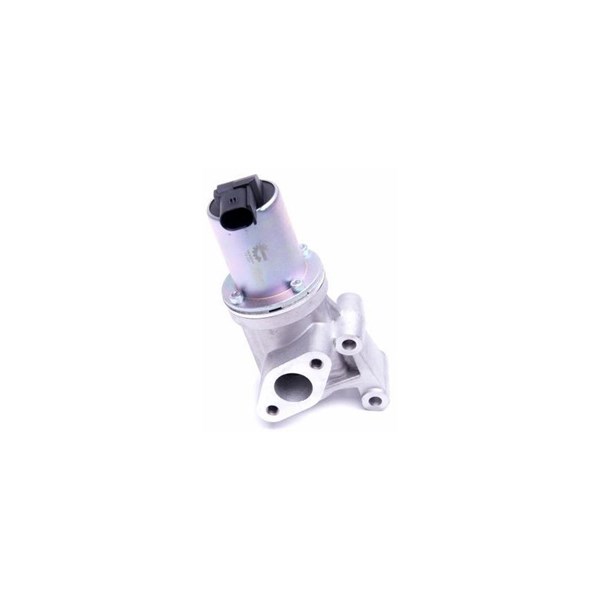 Egr-ventil Esen skv 14SKV211 ESEN SKV