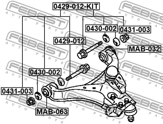 Inställningsskruv, camber Febest 0429-012-KIT FEBEST