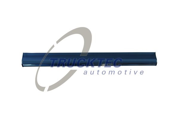 Instegslist, Höger bak, Nedre Trucktec automotive 02.52.111 TRUCKTEC AUTOMOTIVE