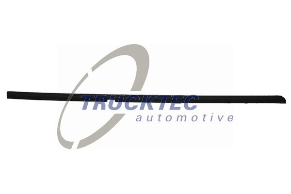 Prydnads-/ Skyddlist, dörr, Ytter, Vänster bak Trucktec automotiv TRUCKTEC AUTOMOTIVE