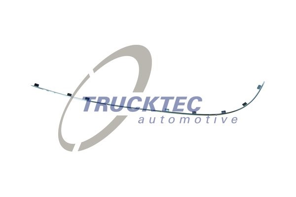 Prydnads- / Skyddslist, stötfångare, Vänster bak Trucktec automot TRUCKTEC AUTOMOTIVE