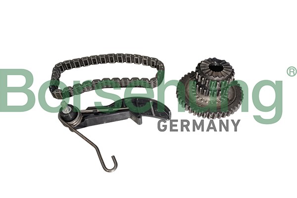 Kamkedjesats Borsehung B10218 Borsehung
