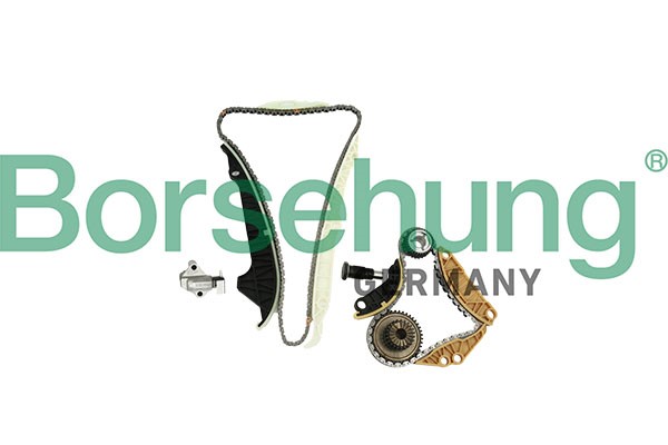 Kamkedjesats Borsehung B10220 Borsehung