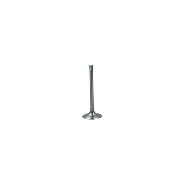 Insugsventil Borsehung B19024 Borsehung
