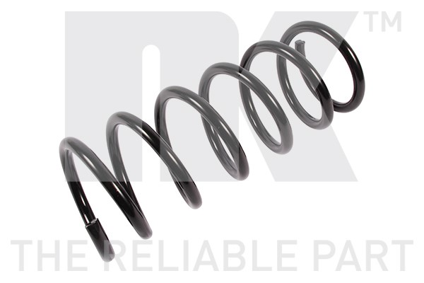 Spiralfjäder, Bakaxel, Höger, Vänster Nk 542578 NK