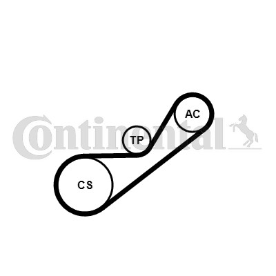 Drivremsats Contitech 4PK925K1 CONTITECH