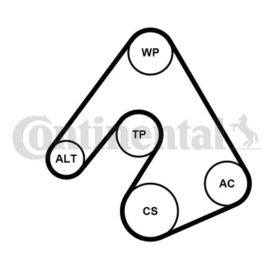 Drivremsats Contitech 5PK1207K1 CONTITECH
