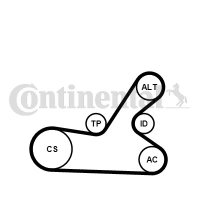 Drivremsats 120A Contitech 6PK1145K4 CONTITECH