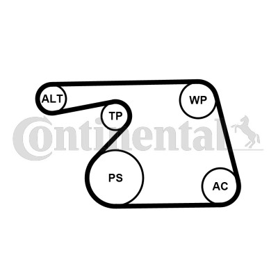 Drivremsats Contitech 6PK1318K2 CONTITECH