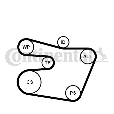 Drivremsats Contitech 6PK1538K1 CONTITECH