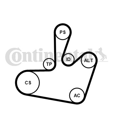 Drivremsats Contitech 6PK1548K1 CONTITECH