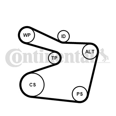 Drivremsats Contitech 6PK1555K1 CONTITECH