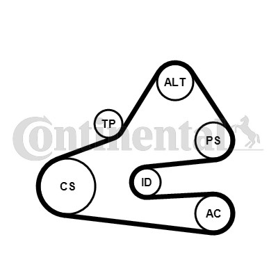 Drivremsats Contitech 6PK1613K1 CONTITECH