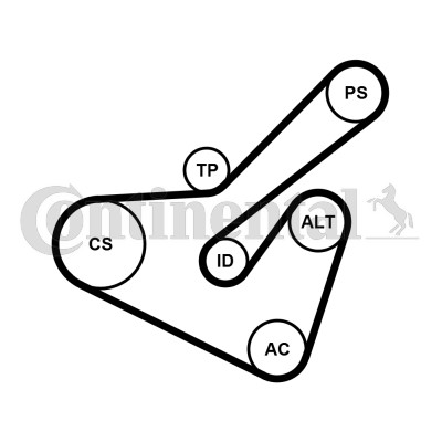 Drivremsats Contitech 6PK1725K2 CONTITECH