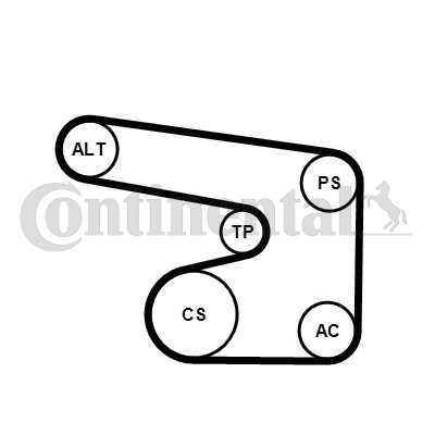 Drivremsats Contitech 6PK1900K1 CONTITECH