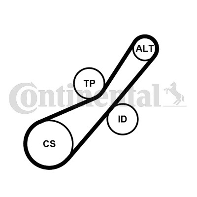 Drivremsats Contitech 6PK800K1 CONTITECH
