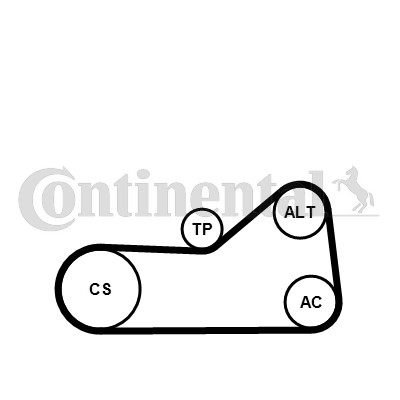 Drivremsats 120A Contitech 6PK976K3 CONTITECH