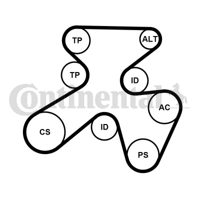 Drivremsats Contitech 7PK1855K1 CONTITECH