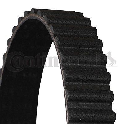 Kamrem Contitech CT786 CONTITECH Kamrem Contitech CT786 CONTITECH