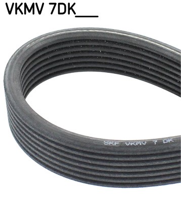 Drivrem Skf VKMV 7DK1697 SKF