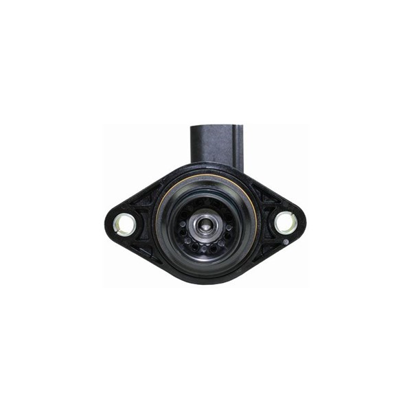 Wastegate 12V