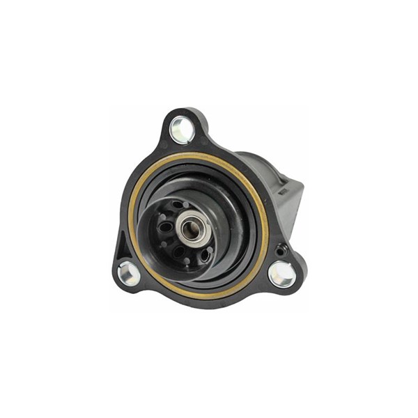 Wastegate 12V