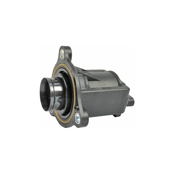 Wastegate 12V