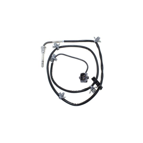 Sensor, avgastemperatur