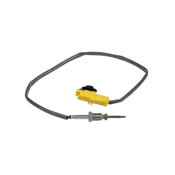 Sensor, avgastemperatur