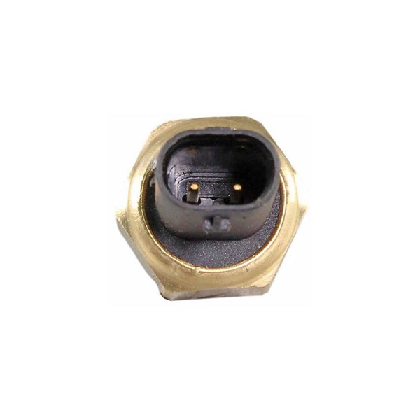 Sensor, bränsletemperatur