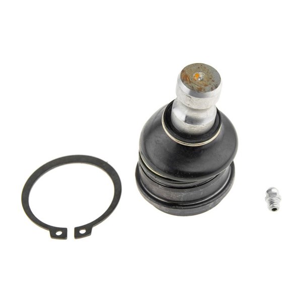 Kulled / Spindelled, Nedre framaxel Nty ZSD-CH-001 NTY
