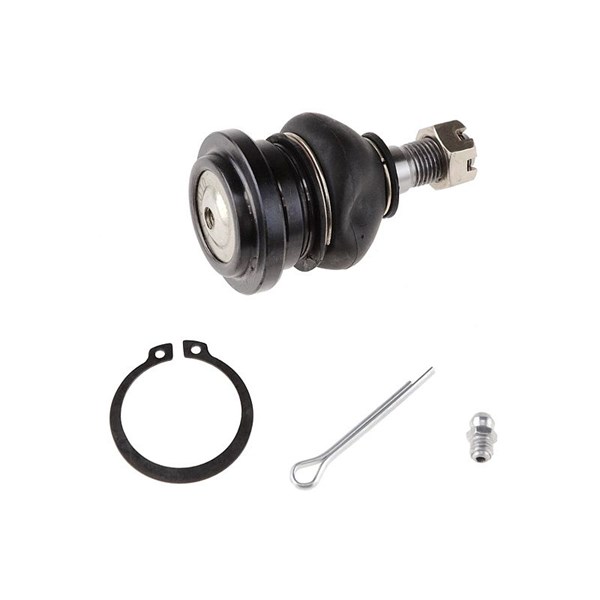 Kulled / Spindelled, Övre framaxel Nty ZSG-TY-010 NTY