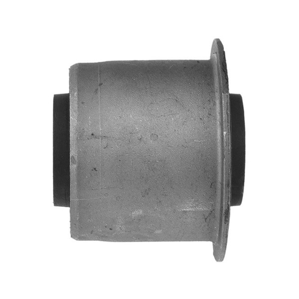 Bussning, länkarm, Ytter, Nedre framaxel Nty ZTP-CH-017C NTY