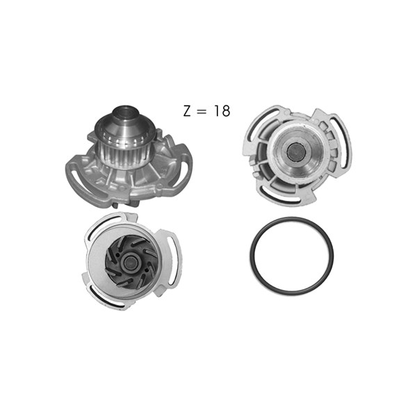 Vattenpump Dolz A170 DOLZ