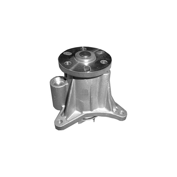 Vattenpump Dolz C139 DOLZ Vattenpump Dolz C139 DOLZ
